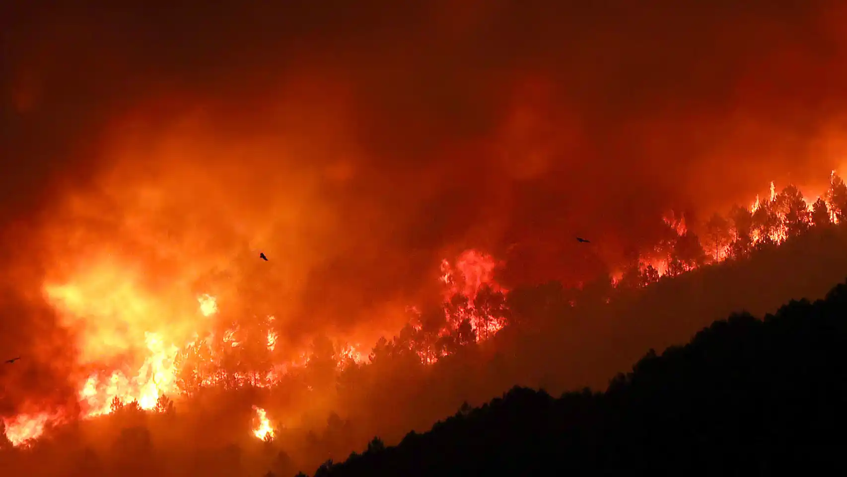 Incendio en España 2