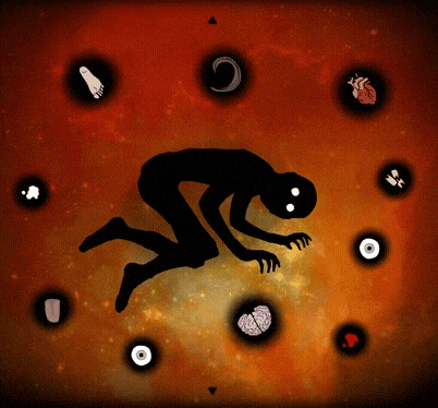 Puzzle de cuerpo y órganos